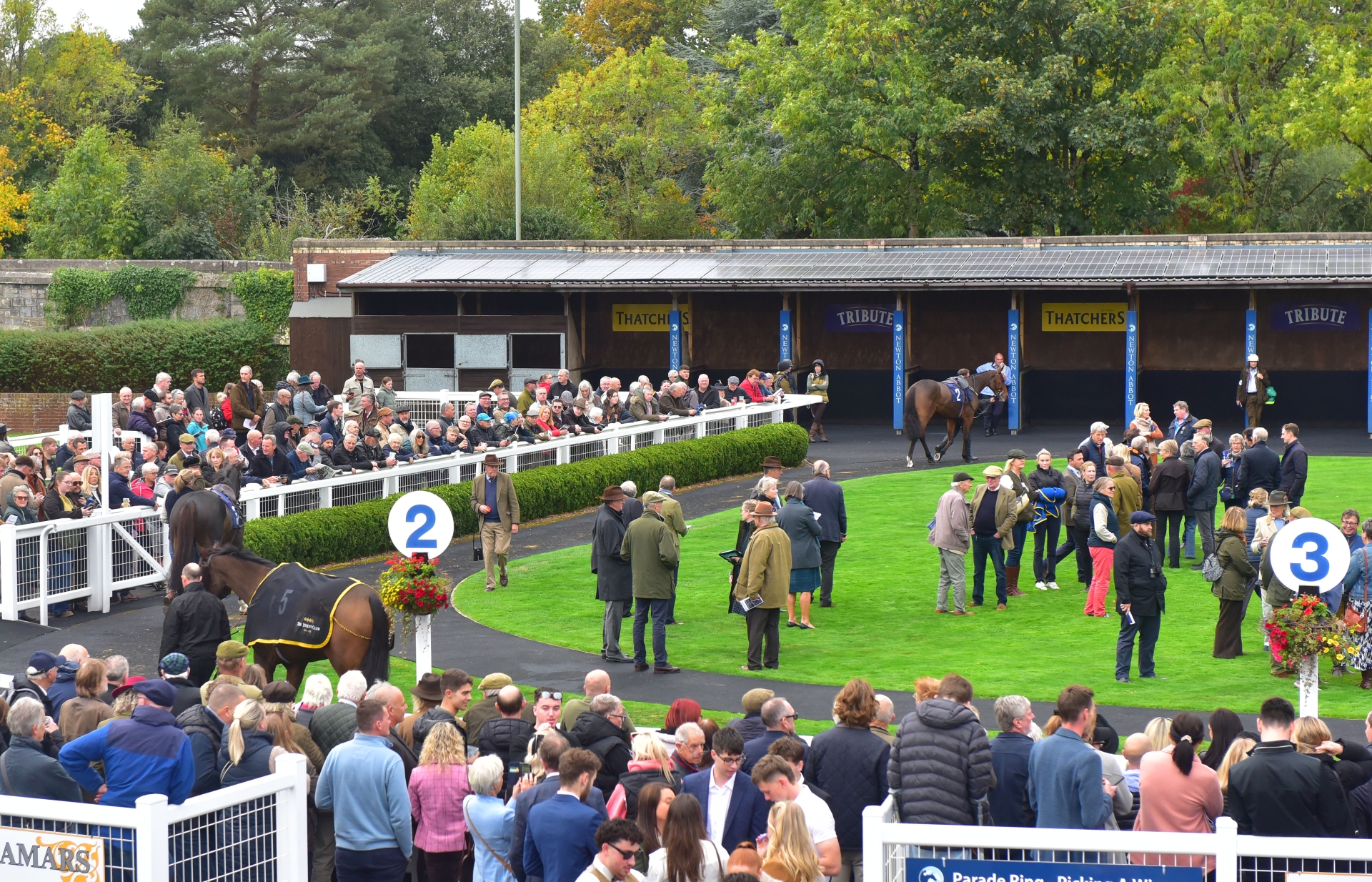 Dressing the horses at Newton Abbot Racecourse can bring cash rewards