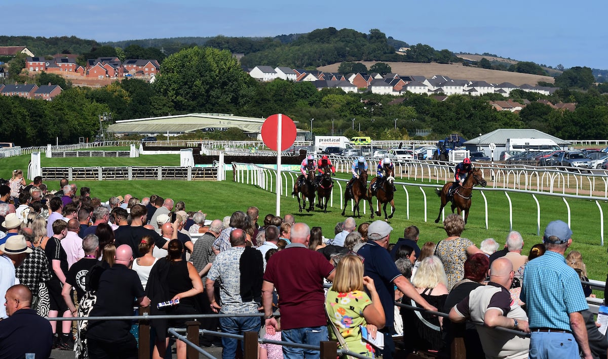 Newton Abbot Racecourse: preview and tips for Saturday’s six-race ...