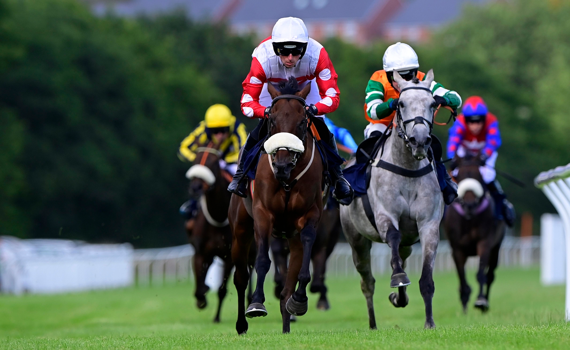 Exeter trainer Sue Gardner enjoys double on the day at Newton Abbot Races