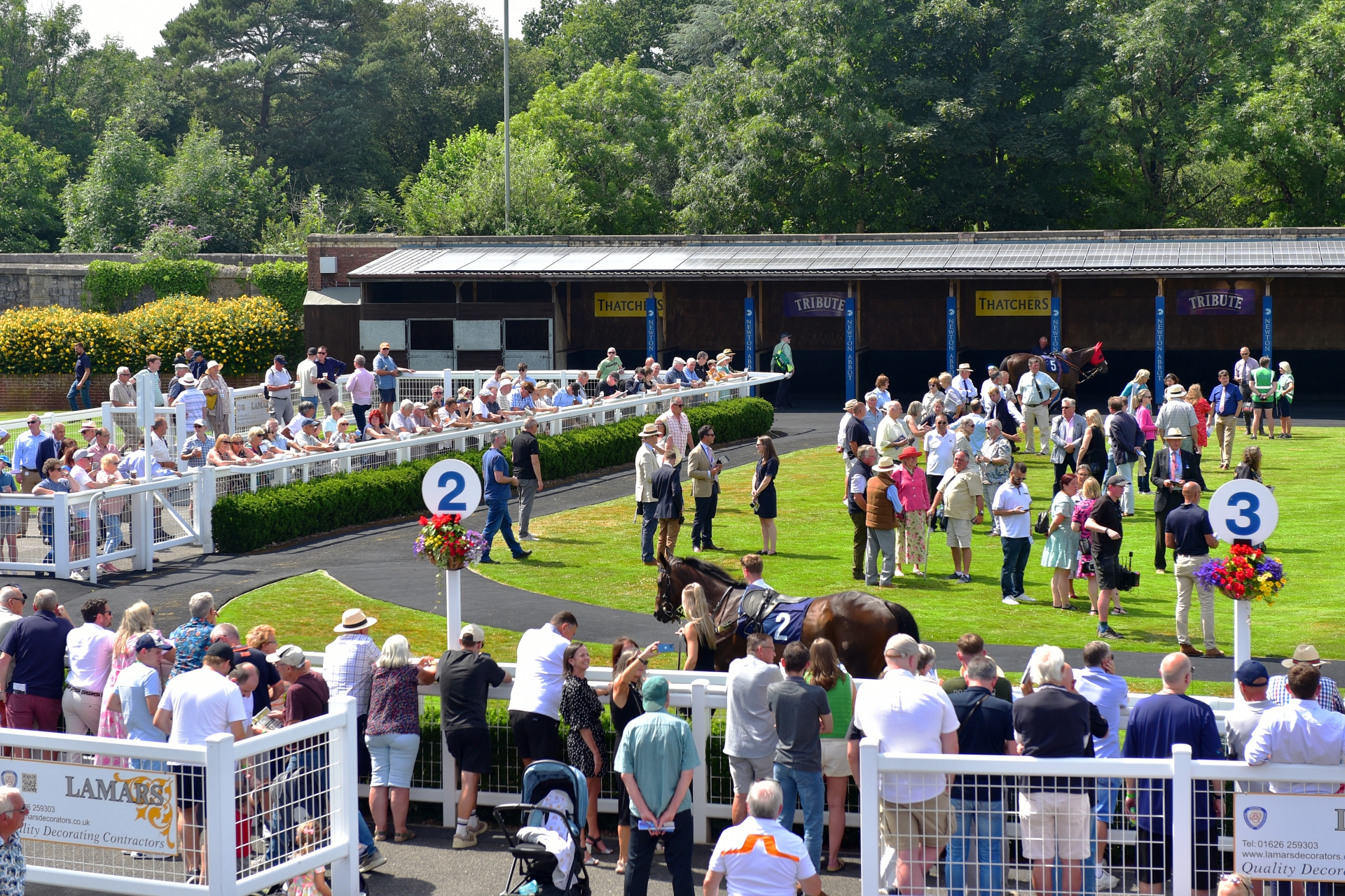 Betting tips and form ahead of another big day at Newton Abbot Races