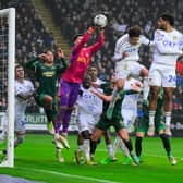 Plymouth Argyle v Leeds. Pic from PPAUK