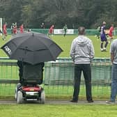 Fans at Ivybridge Town