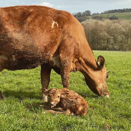 © Taw River Dairy Facebook page