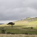 Dartmoor Commoners' Council faces election gap