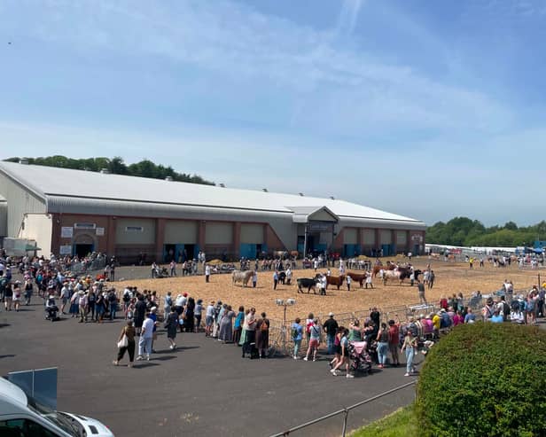 Spectators line the ringside barriers to watch the livestock classes unfold