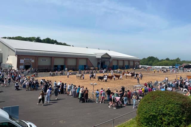 Spectators line the ringside barriers to watch the livestock classes unfold