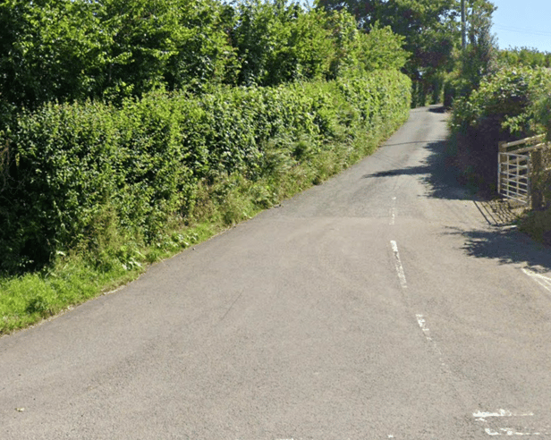 Violet Lane, Tavistock (Pictured in June 2022)