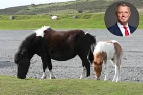 Plymouth MP Luke Pollard has launched a high-level intervention