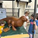 Hatherleigh Festival 2024 