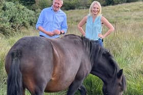Luke with ponies