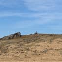 A very dry Dartmoor