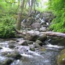 Dartmoor: Becky Falls, in May, 2007