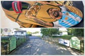 Margaret Green Animal Rescue, which runs a centre near Tavistock, is auctioning a rare pair of Messi-inspired Adidas boots