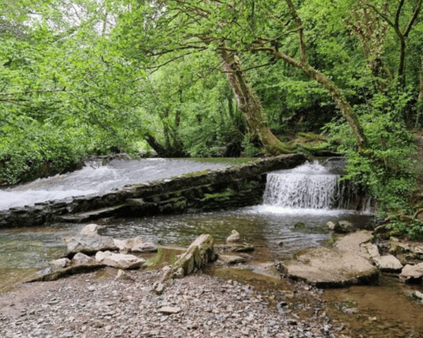Bradley Manor Weir, Newton Abbot
