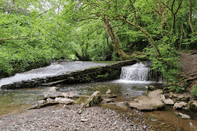 Bradley Manor Weir, Newton Abbot