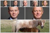 Devon MPs have welcomed new Government protections for Dartmoor’s semi-wild hill ponies
