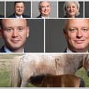 Devon MPs have welcomed new Government protections for Dartmoor’s semi-wild hill ponies