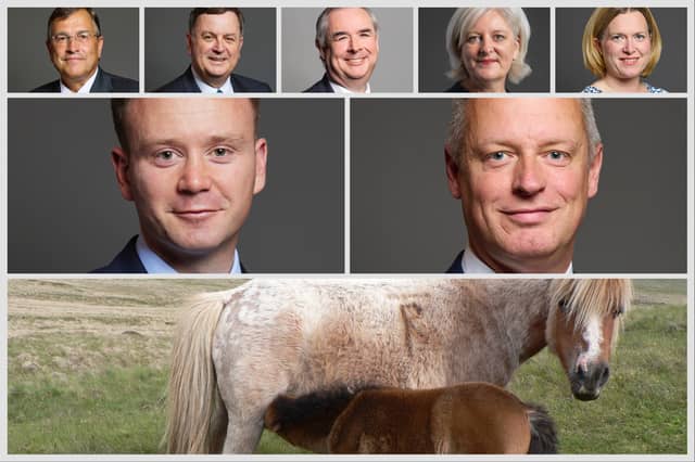 Devon MPs have welcomed new Government protections for Dartmoor’s semi-wild hill ponies