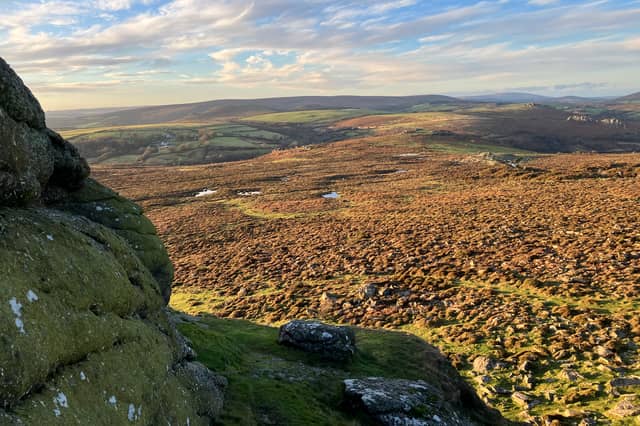 Plans to reorganise local government across Devon have been paused for review