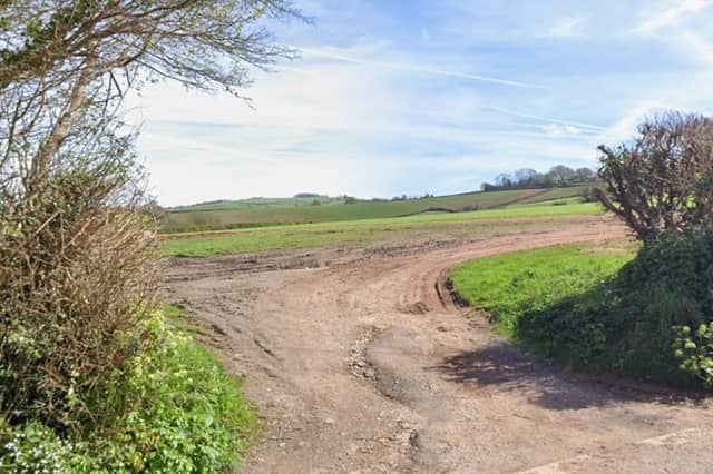 The site at Buckland where Rubix Strategic wants to build 50 homes