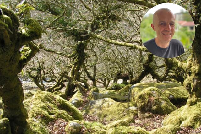 Devon author Alex Morrison has woven historical research into The Wolf of Wistman's Wood