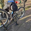 Devon & Cornwall Police are inviting cyclists to Haldon Forest this Sunday for free bike security marking