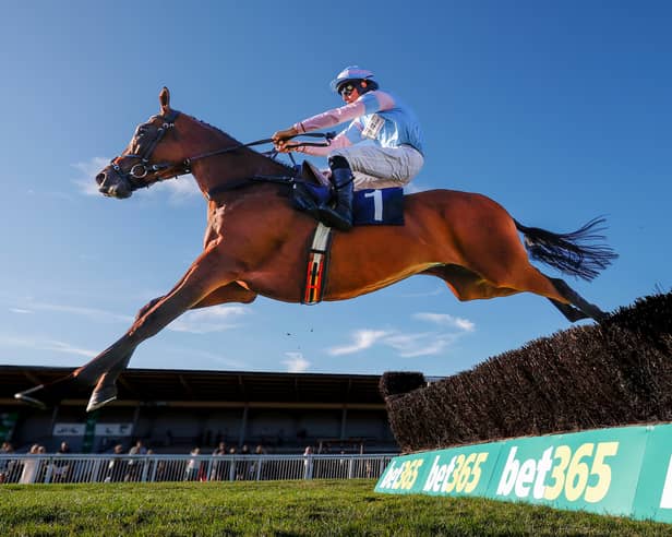 Breaking Cover ridden by Chad Bament