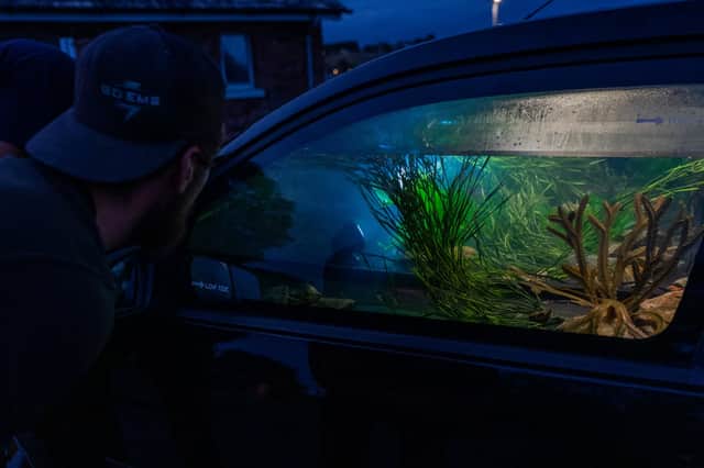 Four cars are being transformed into tidal instruments for a Plymouth art project