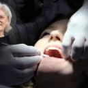 Caroline Voaden has urged the government to tackle South Devon’s NHS dentistry crisis