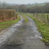 The track leading to Pudson Farm