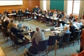 Library campaigners urged a Devon County Council committee to scrutinise a staff consultation by Libraries