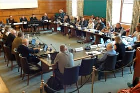 Library campaigners urged a Devon County Council committee to scrutinise a staff consultation by Libraries