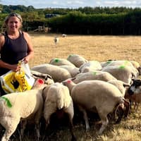 Devon farming under ‘enormous pressure’ as council urges Government action