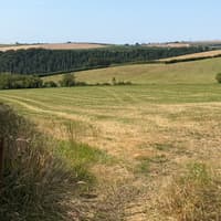 North Devon AI Growth Zone plan revealed in council documents
