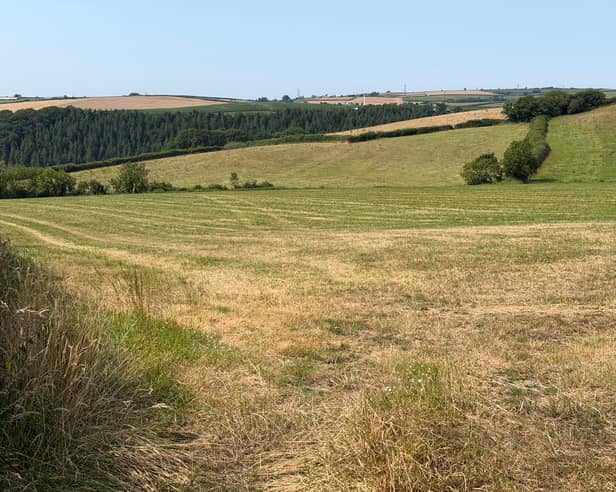 Part of the proposed site for the Devon Data Centre