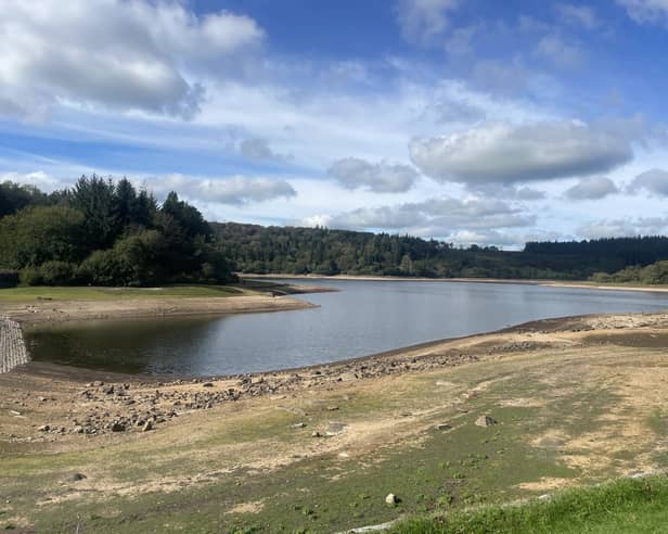 Burrator Reservoir, which serves Dartmoor, is currently at 33 per cent capacity, but other areas are far lower. 