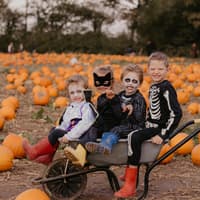 Discover Devon’s pumpkin patches with family days out near Dartmoor