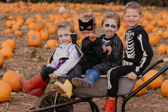 Strawberry Fields Farm Shop in Lifton is hosting its Pumpkin Fest throughout October