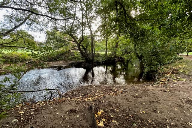 Bovey Tracey Town Council is looking to make improvements to water safety in Mill Marsh Park