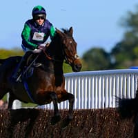 El Capitaine Steals the Show at Newton Abbot in £30,000 Dartmoor Magazine Chase