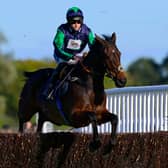 Race Winner, El Capitaine ridden by Brendan Powell