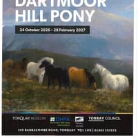 Ice Age discovery reveals possible ancient link to Dartmoor’s hill ponies