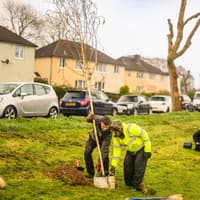 £30m funding boost could transform woodland across South Devon and Dartmoor