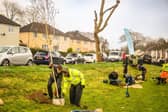 The Plymouth and South Devon Community Forest has secured almost £30 million