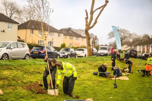 The Plymouth and South Devon Community Forest has secured almost £30 million