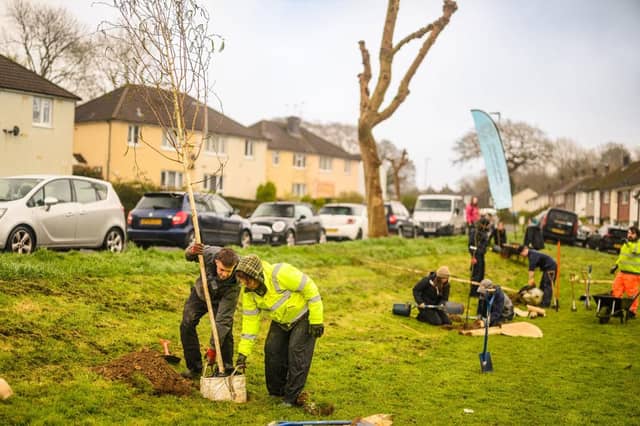 The Plymouth and South Devon Community Forest has secured almost £30 million