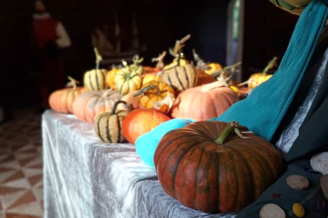 Harvest Weekend on 24 and 25 October will allow visitors to see the magical squash and pumpkin display