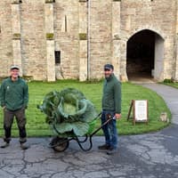 West Devon cabbage growers beat rivals with a huge home-grown vegetable