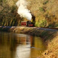 All aboard the Enchanted Pumpkin Express for an autumn adventure