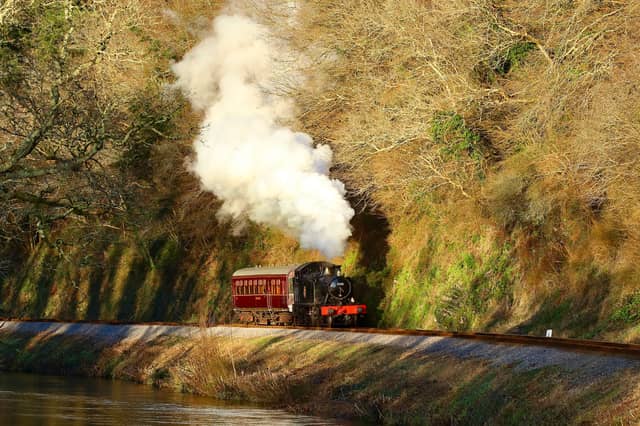All aboard the Enchanted Pumpkin Express for an autumn adventure